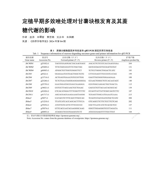  定植早期多效唑处理对甘薯块根发育及其蔗糖代谢的影响