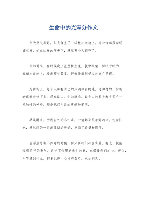 生命中的光满分作文