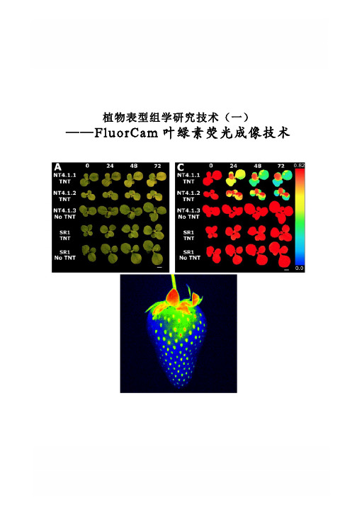 植物表型组学研究技术(一)FluorCam 叶绿素荧光成像技术