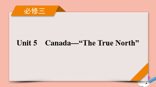 高考英语一轮总复习必修3Unit5Canada—“TheTrueNorth”课件新人教版