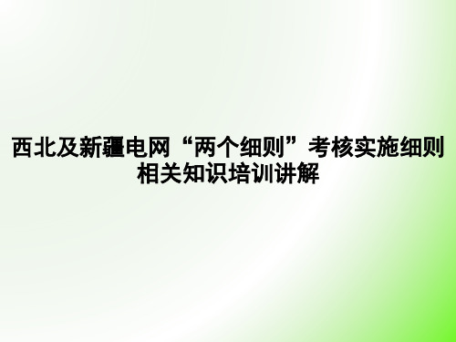 西北及新疆电网“两个细则”考核实施细则相关知识培训讲解