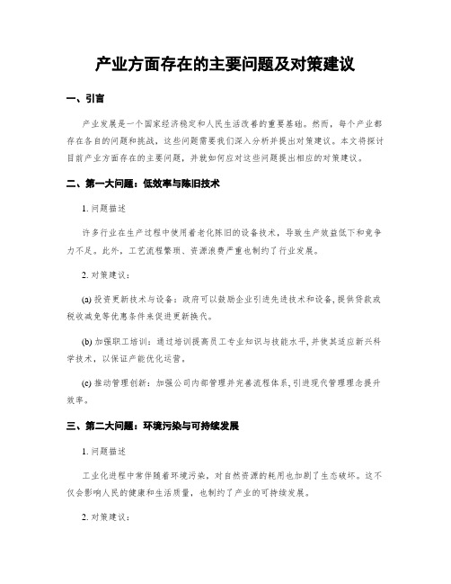 产业方面存在的主要问题及对策建议