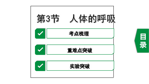 2020年生物中考复习专题4生物圈中的人第3节 人体的呼吸