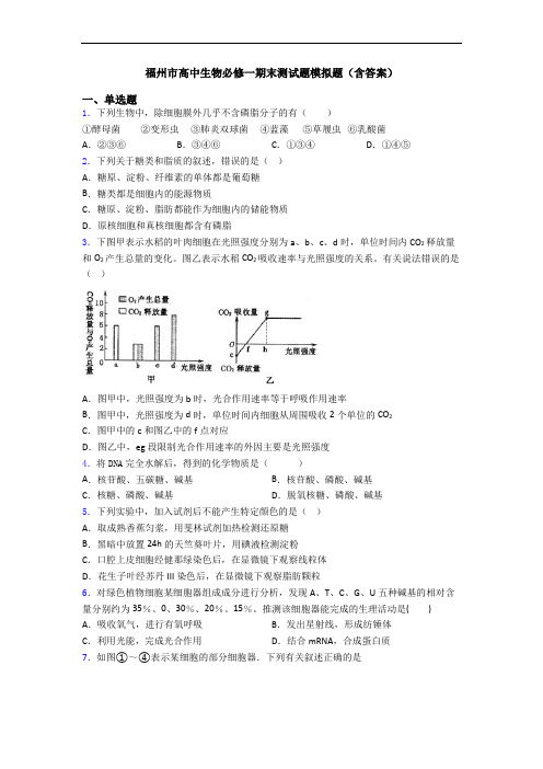 福州市高中生物必修一期末测试题模拟题(含答案)