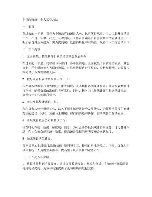 乡镇政府统计个人工作总结