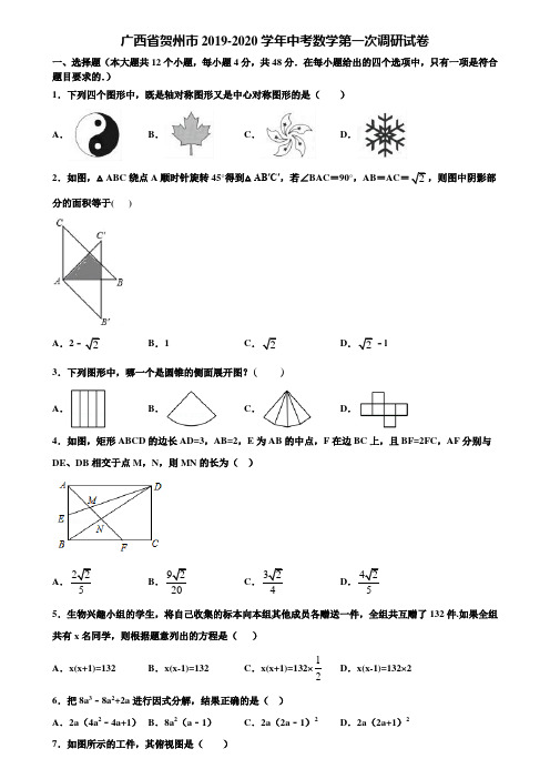 广西省贺州市2019-2020学年中考数学第一次调研试卷含解析