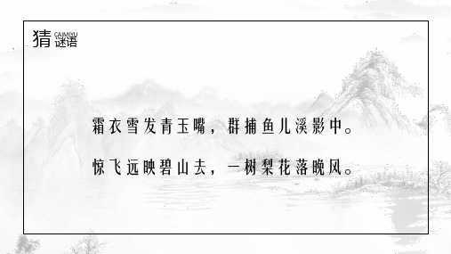 部编版小学语文四年级上册《白鹭》公开课精品课件PPT