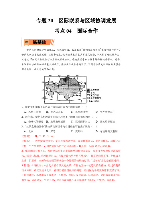 2023年高考地理复习精题精练-国际合作(解析版)