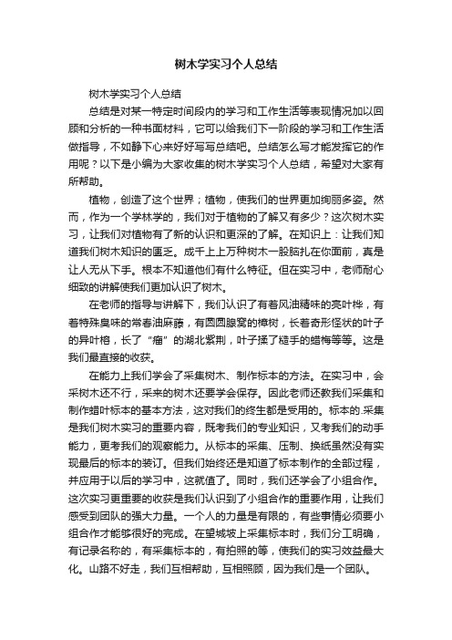 树木学实习个人总结