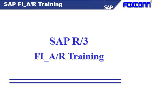 SAP-6_FI_AR