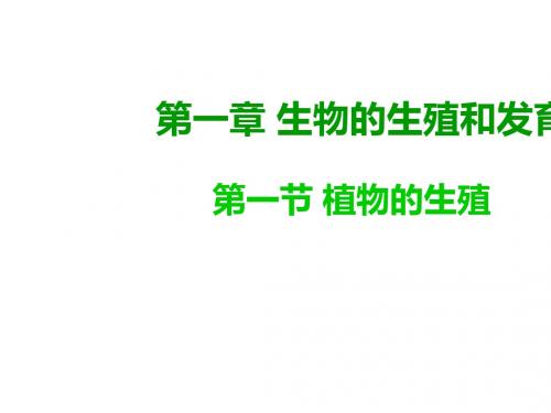 人教版八年级生物下册7.1.1第一节 植物的生殖 课件(共19张PPT)