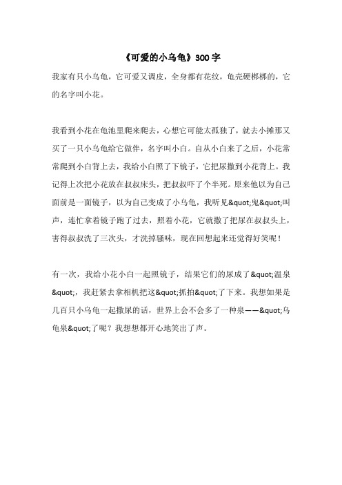 《可爱的小乌龟》300字