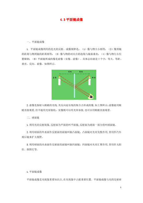 八年级物理上册4.3平面镜成像知识点与考点解析新版新人教版