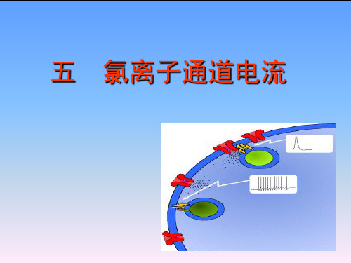 氯通道电流(医学PPT课件)