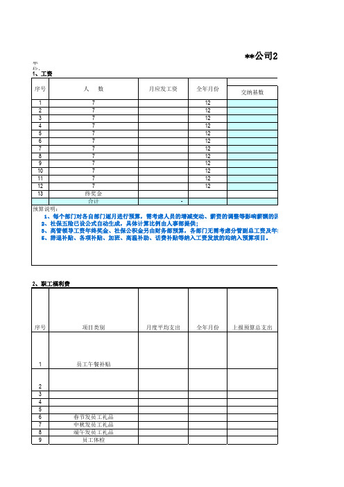 2015预算执行及控制表