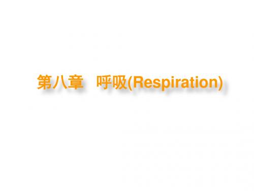 第八章呼吸Respiration