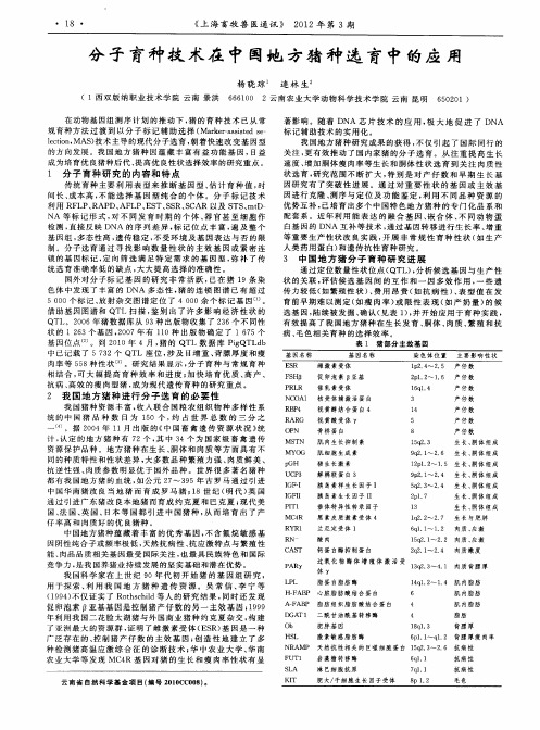 分子育种技术在中国地方猪种选育中的应用