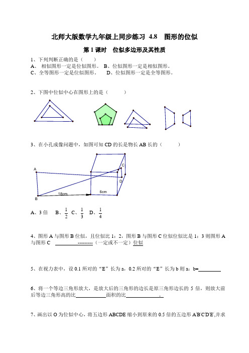 北师大版数学九年级上同步练习 4.8 第1课时  位似多边形及其性质2