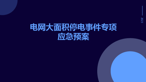 电网大面积停电事件专项应急预案