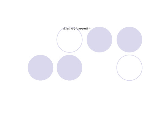 生物信息学与pcr ppt课件