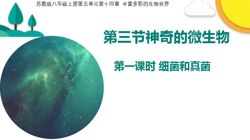 第三节神奇的微生物(第一课时) 课件2021-2022学年苏教版八年级生物上册