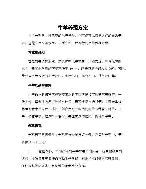 牛羊养殖方案