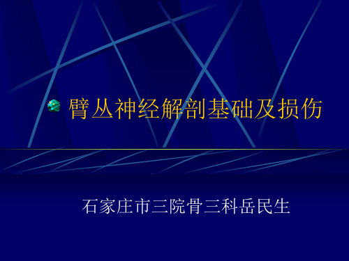 臂丛神经解剖基础及损伤