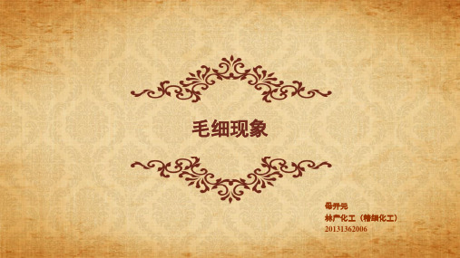 毛细现象