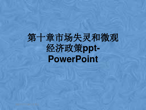 第十章市场失灵和微观经济政策ppt-PowerPoint