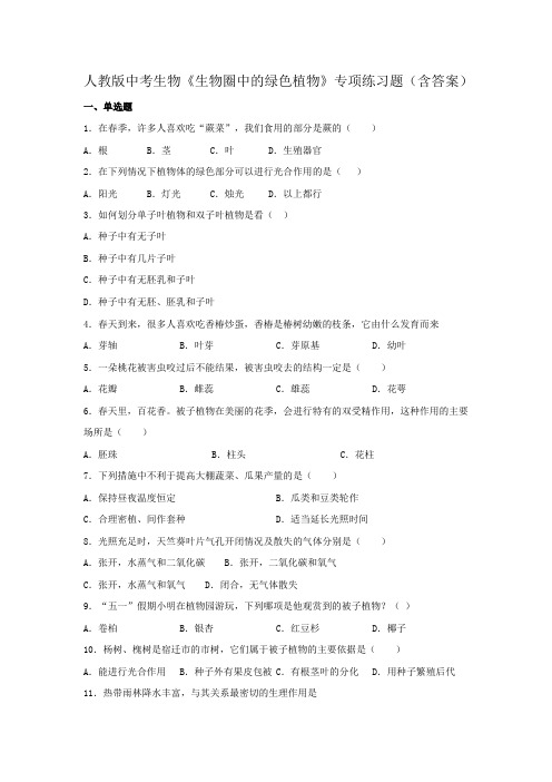 人教版中考生物《生物圈中的绿色植物》专项练习题(含答案)