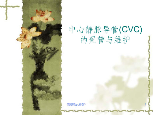 中心静脉导管CVC的置管与维护ppt课件