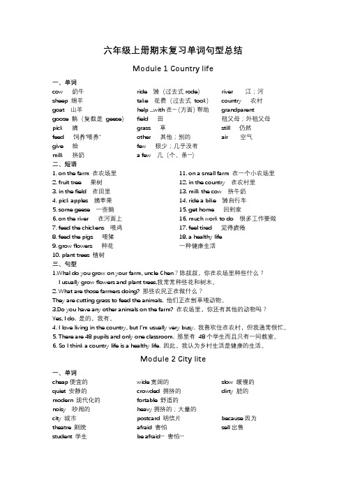 期末复习(知识清单)教科版(广州)英语六年级上册