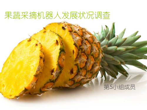 菠萝采摘机器人研究调查