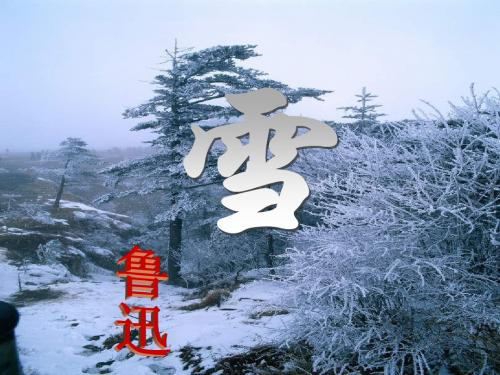 鲁迅《雪》