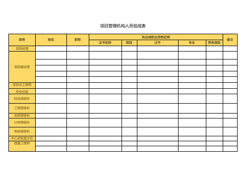 项目管理机构人员组成表-模板