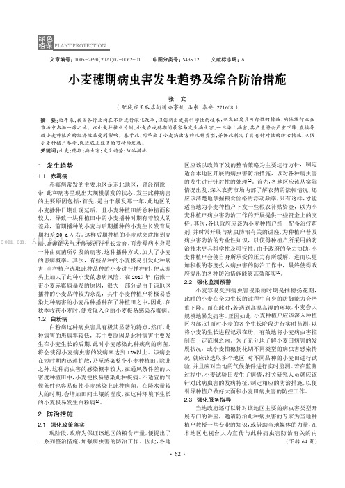 小麦穗期病虫害发生趋势及综合防治措施