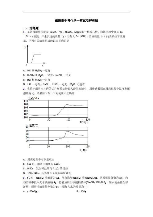 威海市中考化学一模试卷解析版