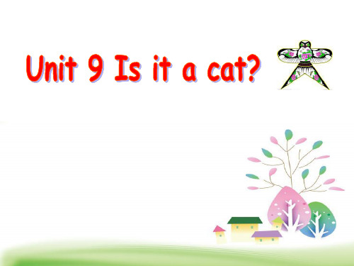 《Is it a cat》PPT