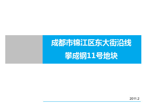 成都市锦江区东大街沿线攀成钢11号地块