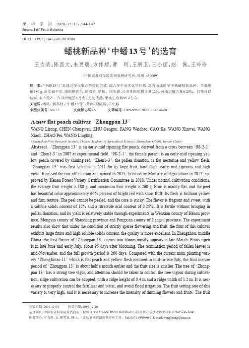 蟠桃新品种‘中蟠13号’的选育