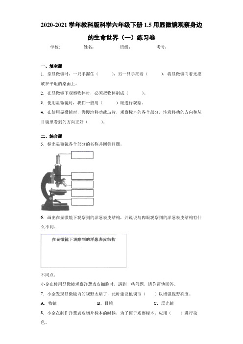 教科版科学六年级下册1.5用显微镜观察身边的生命世界(一)练习卷 (2) (1)