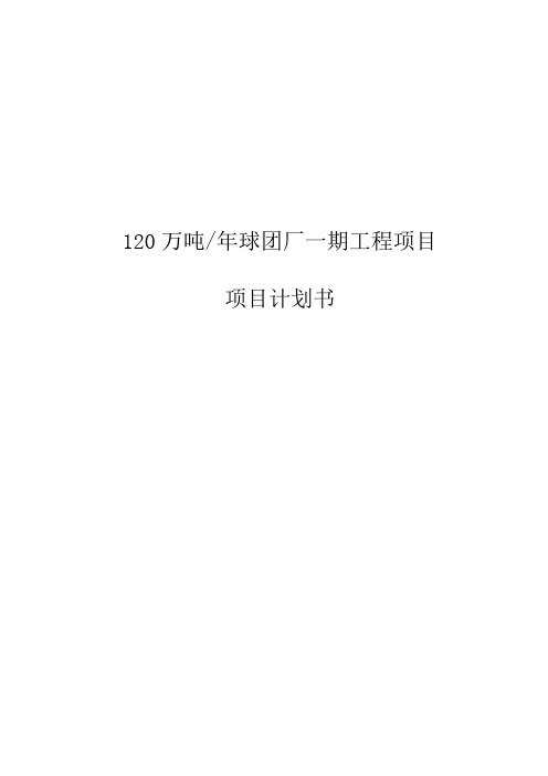 120万吨球团项目谋划书__本科毕业设计论文