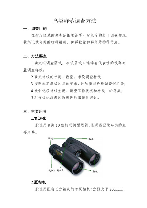 鸟类群落调查方法