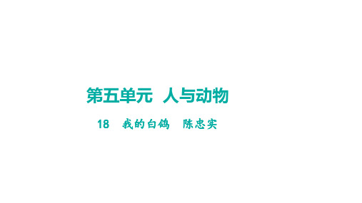 第18课《我的白鸽》学案课件-统编版语文七年级上册(2024)