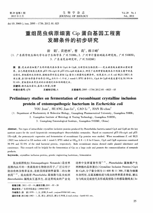 重组昆虫病原细菌Cip蛋白基因工程菌发酵条件的初步研究