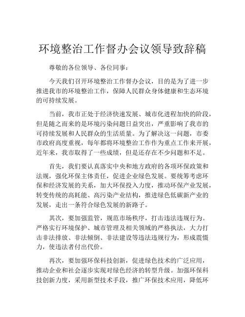 环境整治工作督办会议领导致辞稿