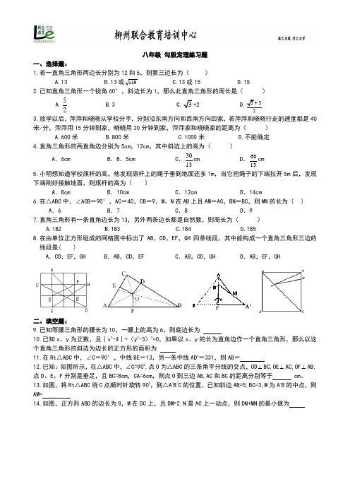 精品 八年级数学下册 勾股定理综合题06