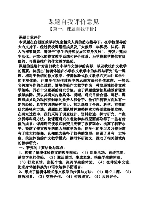 课题自我评价意见