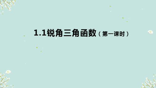 1.1锐角三角函数(第一课时)课件(共17张PPT)浙教版数学九年级下册