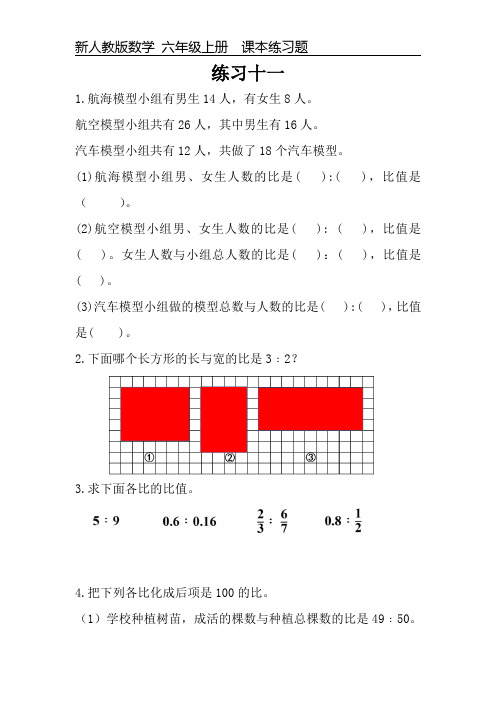 新人教版数学六年级上册课本练习题《练习十一》可编辑可打印